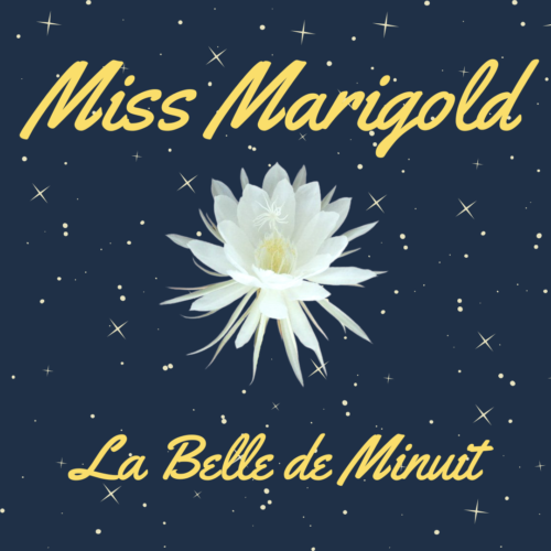 Couverture du feuilleton d'aventure miss Marigold et la Belle de Minuit.