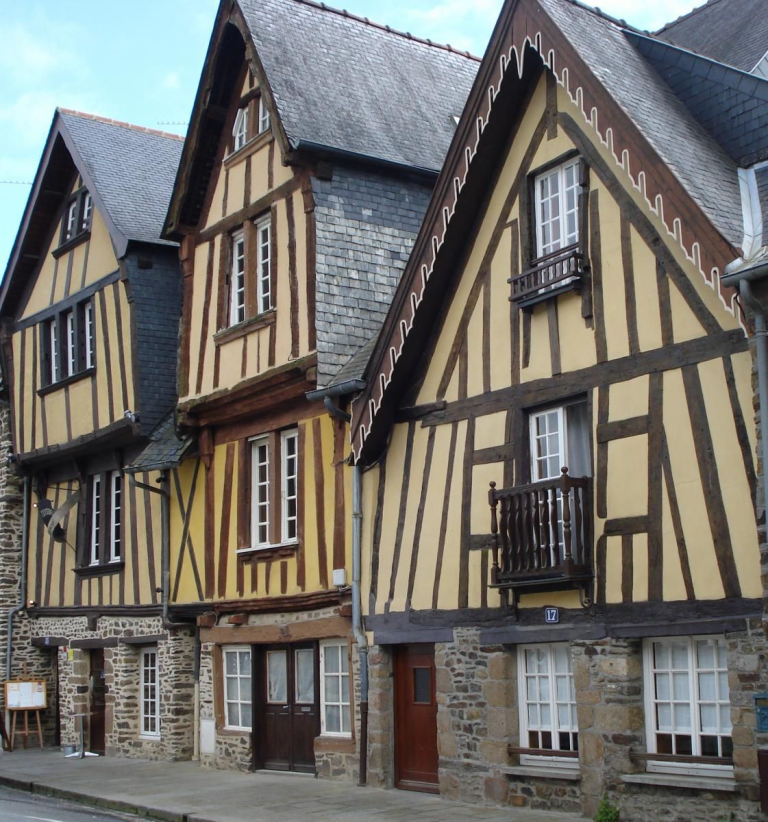 15 maisons pans de bois quartier médiéval